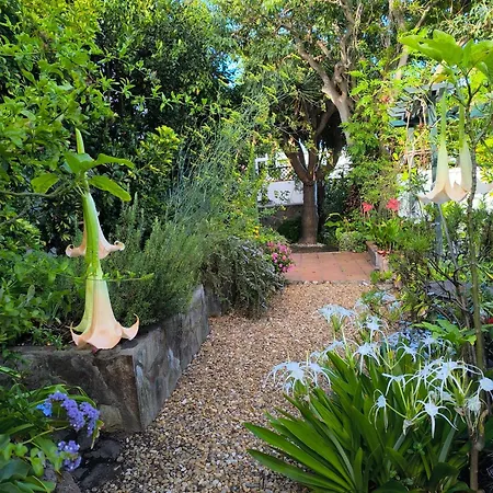 Casa Flora Loft Lägenhet Sauzal