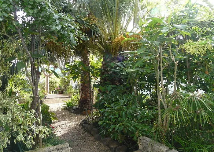 Appartement Casa Flora Loft El Sauzal