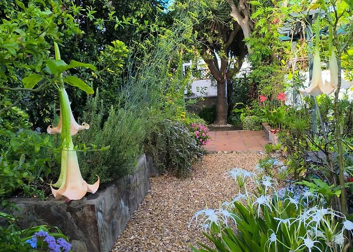 Casa Flora Loft Апартаменты Саусаль