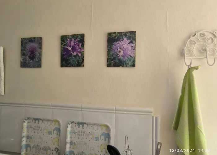 Casa Flora Loft Саусаль