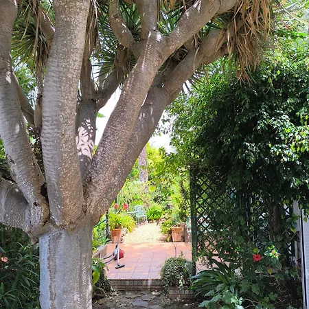 Casa Flora Loft Appartement El Sauzal