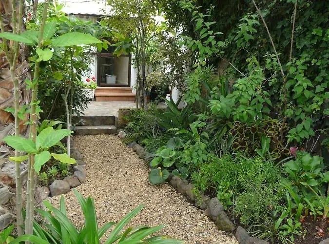 Daire Casa Flora Loft *