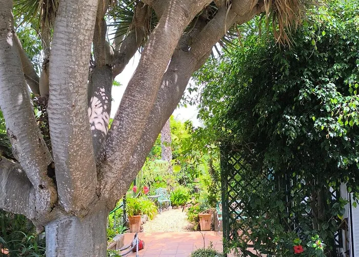 Casa Flora Loft Daire El Sauzal