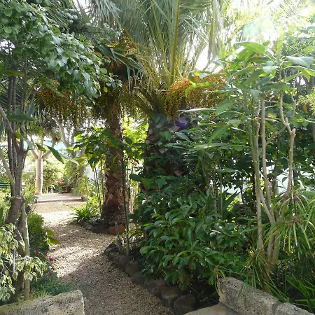 Apartman Casa Flora Loft Sauzal