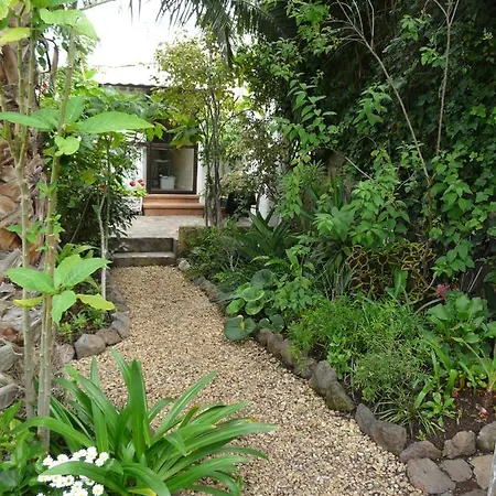 Apartmán Casa Flora Loft *